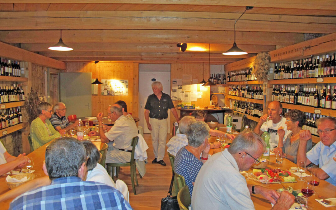 MRV-2017-Sommerprogramm