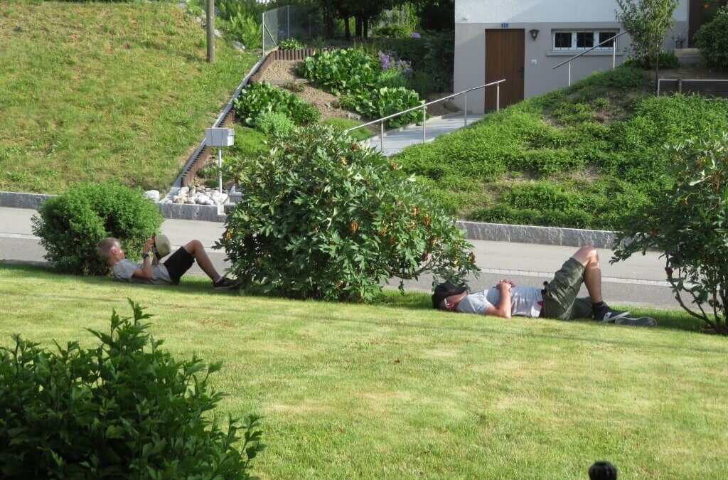 2019 – ETF Aktive 060