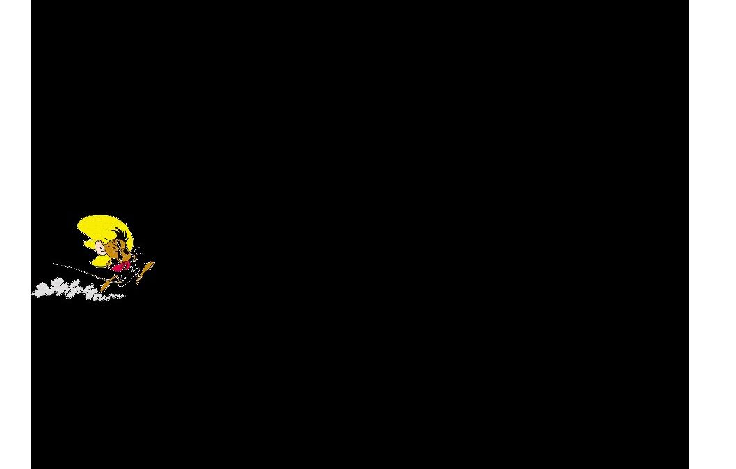 Infos_Schnällscht Vorewälder_2023