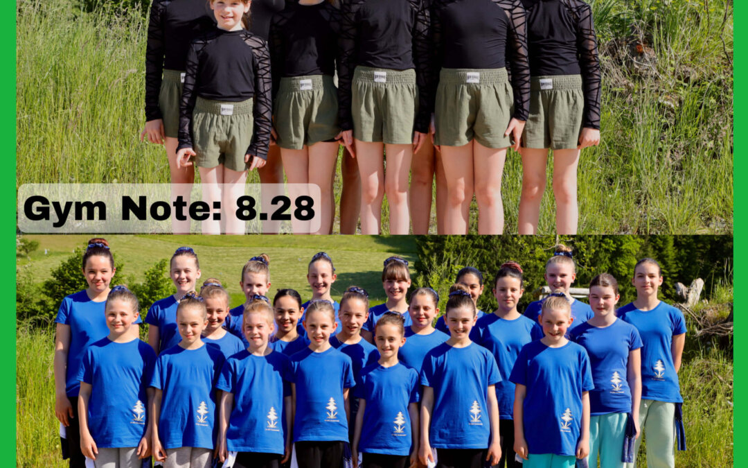 Rückblick AMVJ_2023