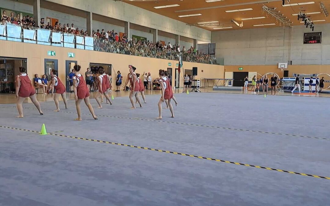 SMV 8 (8)
